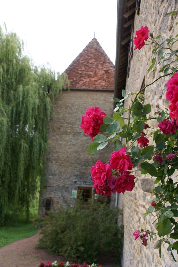 Chambre D' Hotes Des Collines Amanzé Zewnętrze zdjęcie